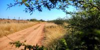 Two rapists lurked in the bushes in this area before pouncing on two children aged nine and eight years old who were walking from Gogobole primary school, Limpopo, one afternoon. (Photo: Lucas Ledwaba/Mukurukuru Media)