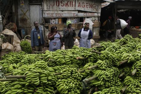 Investing in agriculture could help Kenya fight food insecurity