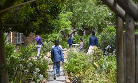 Western Cape women’s shelters face permanent closure unless they receive financial aid