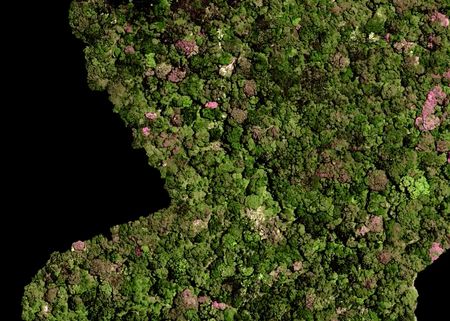 Searching for a female partner for the world’s ‘loneliest’ plant