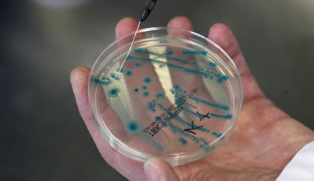 Bacteria outbreak in Northern Europe due to ocean warming, study says