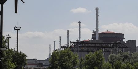 Zaporizhzhia nuclear plant cut off; Zelensky orders frontline fortifications; Russia boosts size of military