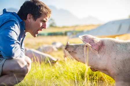 If you think organic food is expensive, try cancer