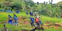 A group of men on their way to fetch initiates in the mountain in Kubusi locality in Qumbu in the Eastern Cape. (Photo: Hoseya Jubase)