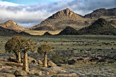 Where history blooms — day trips in and around Springbok