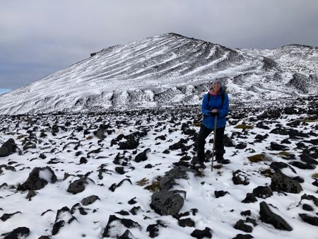 Marion Island: Digging dirt and the roaring forties