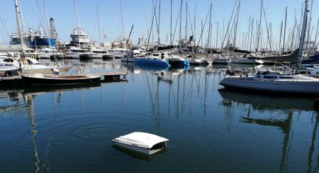 Innovator’s 'shark' brings answers to polluted Cape Town waterways