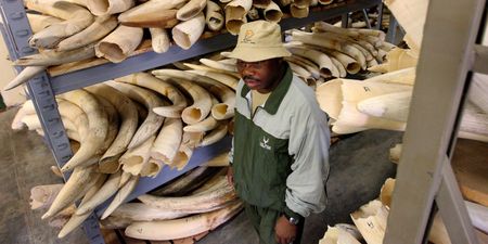 Parliament slams Kruger Park for defying directive not to sign agreement with neighbours