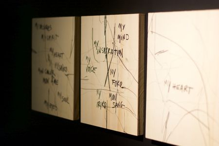 Sights and smells of Madagascar: Art that blurs boundaries between disciplines