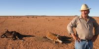 Weather service sounds El Niño alarm for North-East, including Kruger Park
