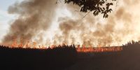 Fire in the Kingdom. Sugar cane burning in rural Zululand 23.10.21.
