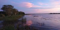 This a ‘Tranquil evening view of subsiding flood waters, Nsumo Pan in Mkhuze Game Reserve, KwaZulu-Natal’.