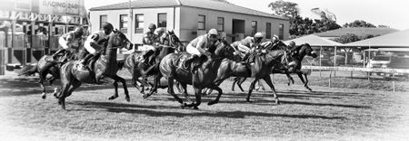 Odds against the Sport of Kings, the last stand for Thoroughbred horses