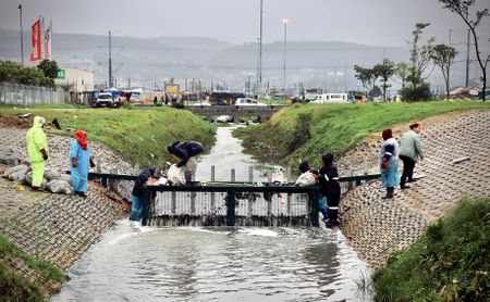 How local litter traps are making a splash against pollution in SA