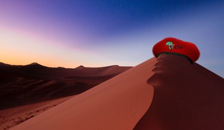 Homophobic Namibian fighters: What the EFF?