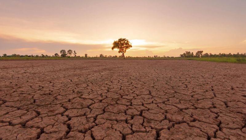 Everything points to El Niño being a record breaker