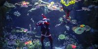 epaselect epa10375366 A diver dressed in Santa Claus costume and a diver dressed as a mermaid perform during a show to welcome the holiday season at Sea Life aquarium in Bangkok, Thailand, 21 December 2022. Divers at Sea Life aquarium dressed as Santa Claus and a mermaid performed for visitors during an annual special show held around Christmas, to wish happy holidays to visitors.  EPA-EFE/DIEGO AZUBEL