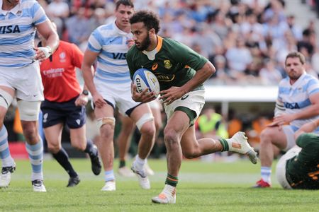 Boks prevail in Buenos Aires after scoring bonus point against Pumas