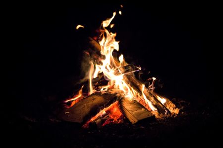 The lowdown on popular wood for fireplaces and braais