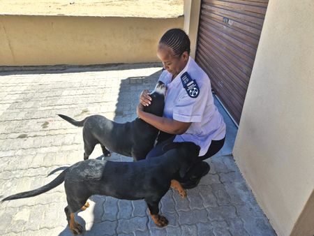 ‘It’s a calling… someone has to do it’ — NSPCA inspector on why she endures the danger and the heartbreak