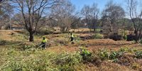 Lonehill employes full-time staff to clean up the 14 parks in the area. (Photo:Anna Cox)