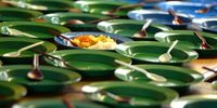 Raising government grants would help to close the food affordability gap in South Africa and stem food insecurity,