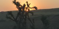 Sunset-Sivananda Ave, La Mercy, KZN. Photographer: Paravesh Babulal