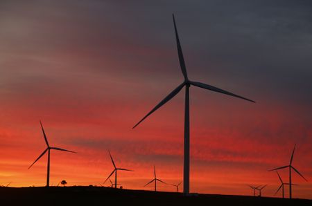 Africa needs a green economic post-Covid-19 recovery, report finds