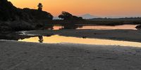 CAPTION: Shades of Sunrise, Kleinriver Estuary, Voelklip, Hermanus</p>
<p>CREDIT: @TerryLevin 