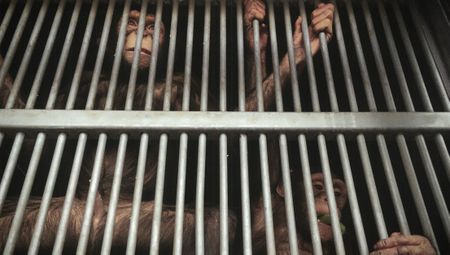Horrific scale of SA’s live wild animal trade to China exposed