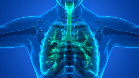 This court case will literally determine who gets to breathe