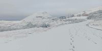Lerato-SnowWarning-Downgraded