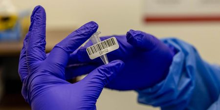 Major pathology labs agree to lower price of Covid-19 PCR tests to R500