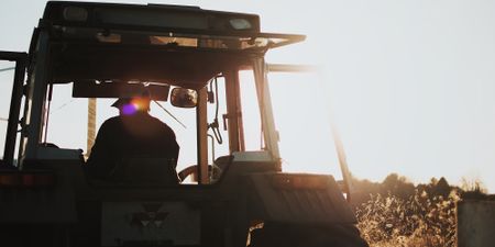 Constitutional amendment process for expropriation without compensation is revived