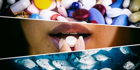 Our antidepressants in the water are making the fish come undone