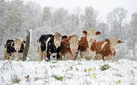 While you were sleeping: 29 April 2016