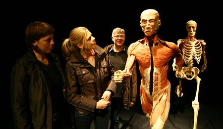 Body Worlds: Plastic fantastic