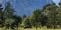 Stellenbosch.