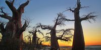 Kubu sunset. Photographer: Rob Weiss