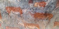 Indigenous foragers were following grazing herds through the eastern grasslands as much as<br>30,000 years ago, if not longer. The rock paintings on sandstone walls here are about 3,000 years<br>old and remember a time when people experienced everyone and everything as connected,<br>animate beings. Africa’s prairies are still the breath of life for families, cultures and local<br>economies.<br>(Photo: Leonie Joubert)