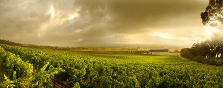 New look for a Tokai classic honours founder Catharina Ras