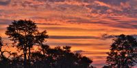 Sunset. Photographer: Eric Meyer