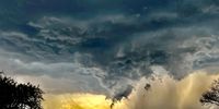 Before the bush storm. Photographer: Susan Harwood</p>
<p>P4U_readersubmission_20250509