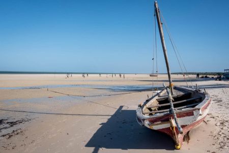 Flooding in Mozambique as Tropical Cyclone Desmond makes landfall