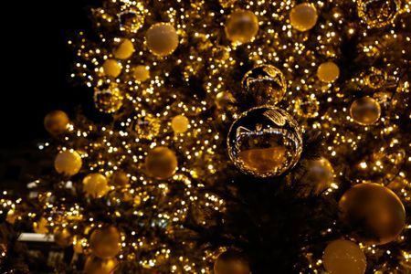 Baubles of gratitude: good wishes for South Africa’s bright future