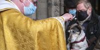 Priest of Saint Hubert Basilica, Philippe Gooses (L), blesses a dog on the celebration day of Saint Hubert at the Basilica of St Hubert, Belgium, 03 November 2021. Annually held on 03 November in commemoration of Saint Hubert, the patron saint of hunters, a mass is held after which animals are blessed. Due to the Covid-19 pandemic the celebration was cancelled in 2020, but with 18 Euro payment, fans could always ask for a blessing confirmation paper online.  EPA-EFE/OLIVIER HOSLET
