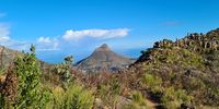 Lions Head from Devils Peak. Image: Dudley Annenbetg