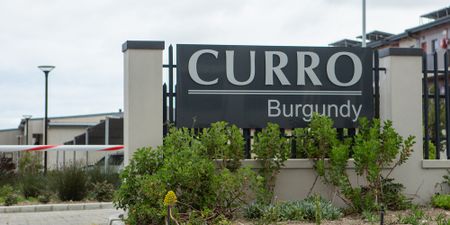 Curro’s star keeps rising as private school group posts healthy results