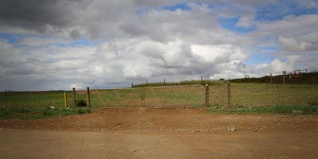 Unravelling the complexities of land reform in South Africa