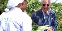 NAIROBI, KENYA - OCTOBER 31: King Charles III laughs as he visits City Shamba, an urban farming project on October 31, 2023 in Nairobi, Kenya. King Charles III and Queen Camilla are visiting Kenya for four days at the invitation of Kenyan President William Ruto, to celebrate the relationship between the two countries. The visit comes as Kenya prepares to commemorate 60 years of independence.  (Photo by Phil Noble-Pool/Getty Images)